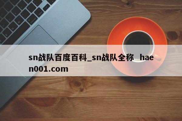 sn战队百度百科_sn战队全称  haen001.com