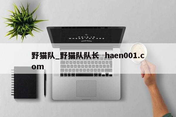 野猫队_野猫队队长  haen001.com