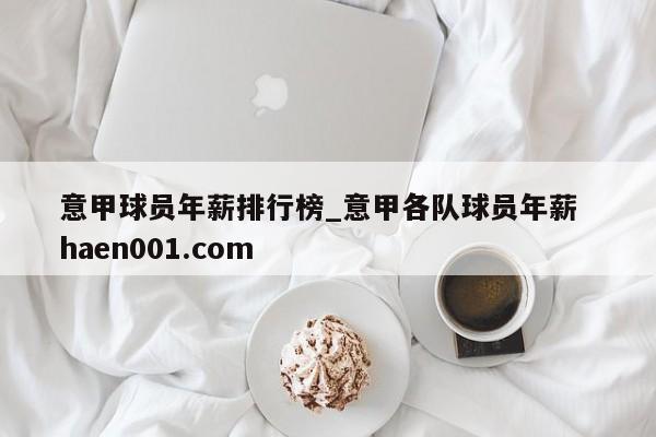 意甲球员年薪排行榜_意甲各队球员年薪  haen001.com